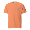 RBMS DC Unisex garment-dyed heavyweight t-shirt