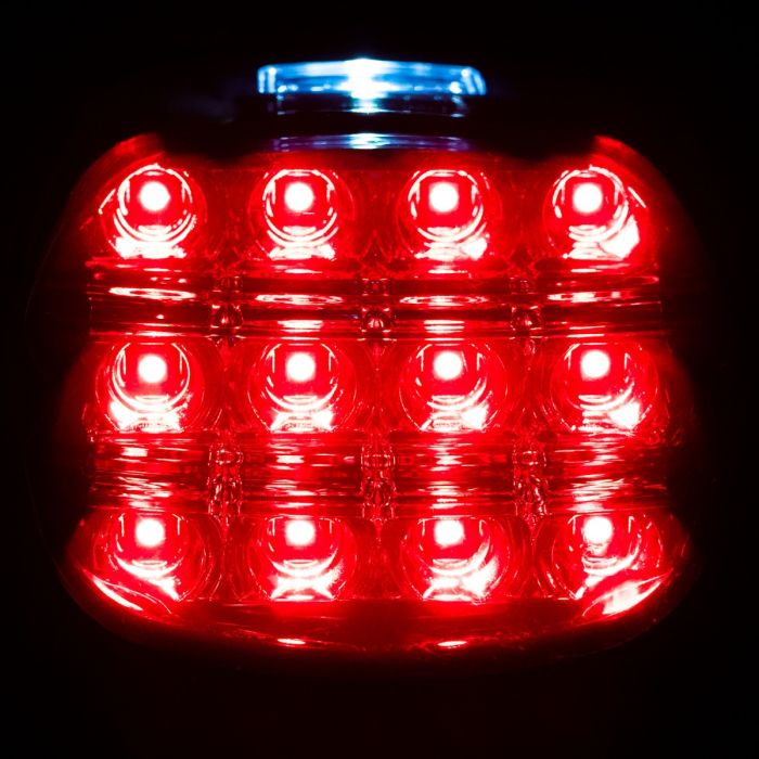 HOGWORKZ® Xtreme LED Taillight w/ Plate Light | Smoked