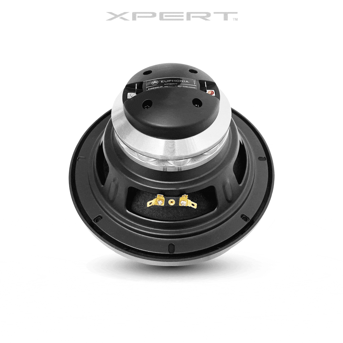 DB Drive Euphoria EX8SNCD-CF 8" 2-Way Carbon Fiber Loudspeaker with Backloaded Compression Driver
